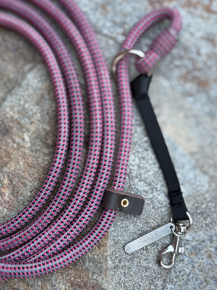 30 foot dog training leash Aspen Pet Cotton Training Dog Lead