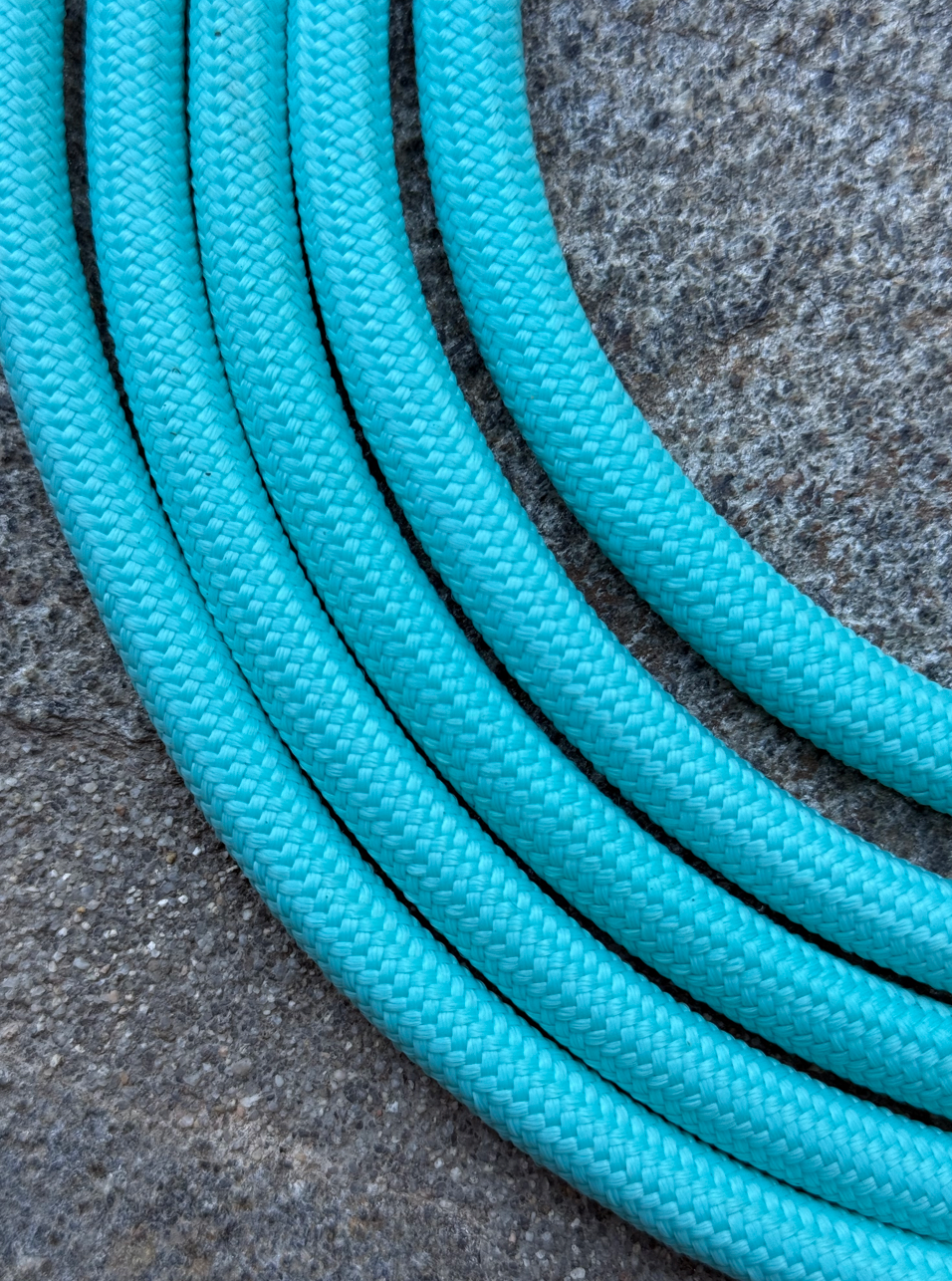 10 ft. Long Leash - Aquamarine