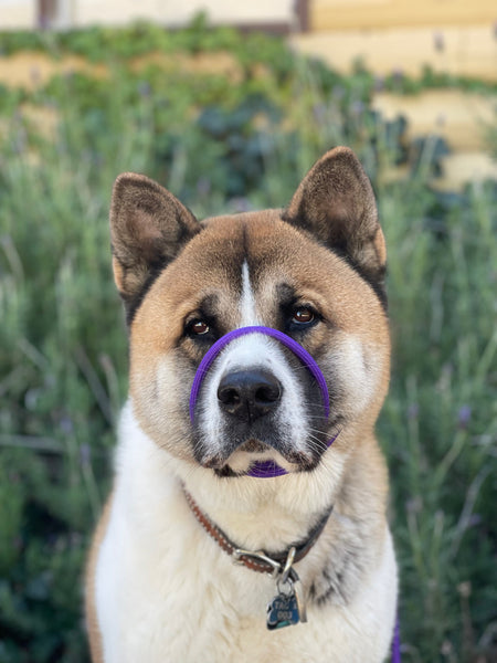 88B48A55-2B95-4594-B51F-